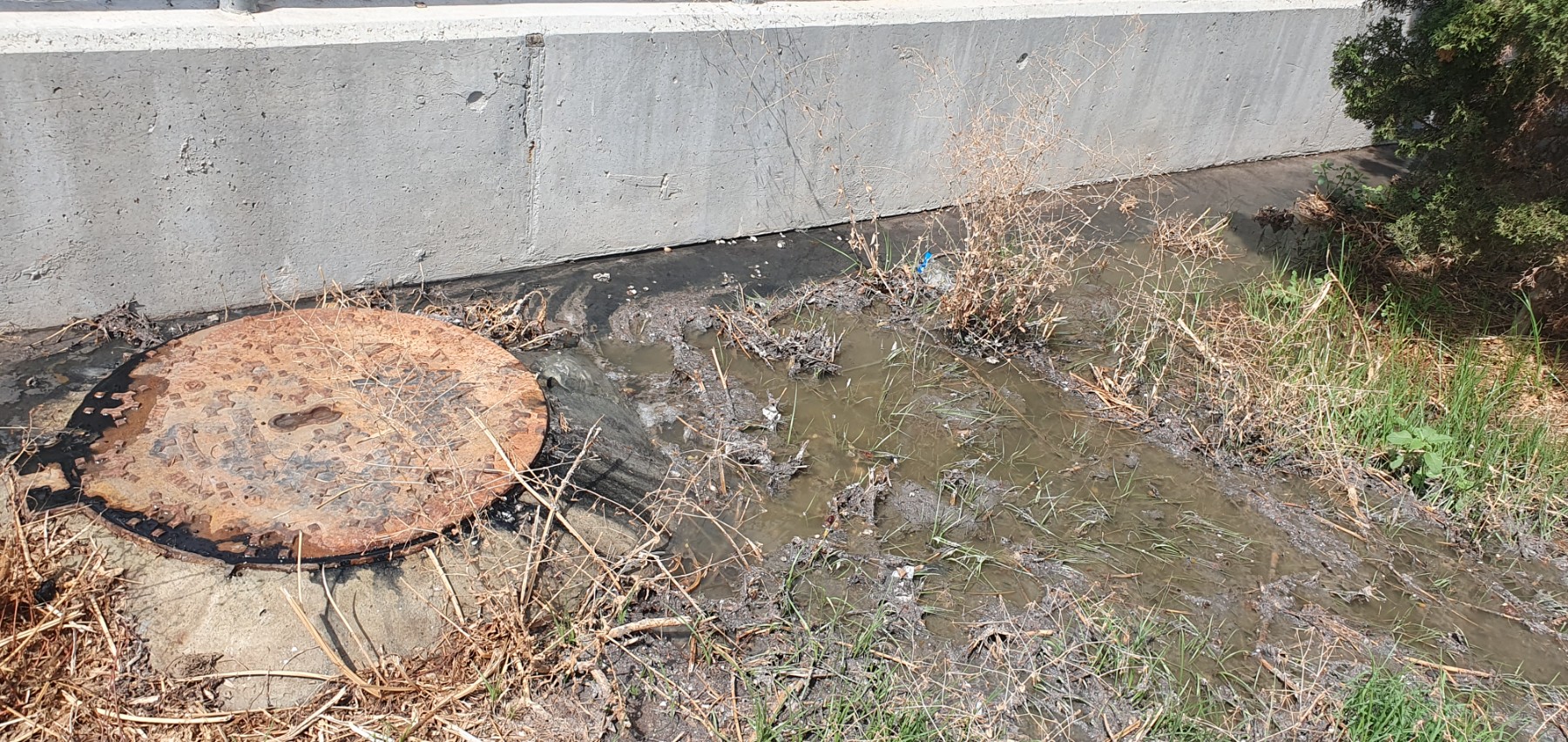 *Sewage* pouring into the park after the heavy rainfall