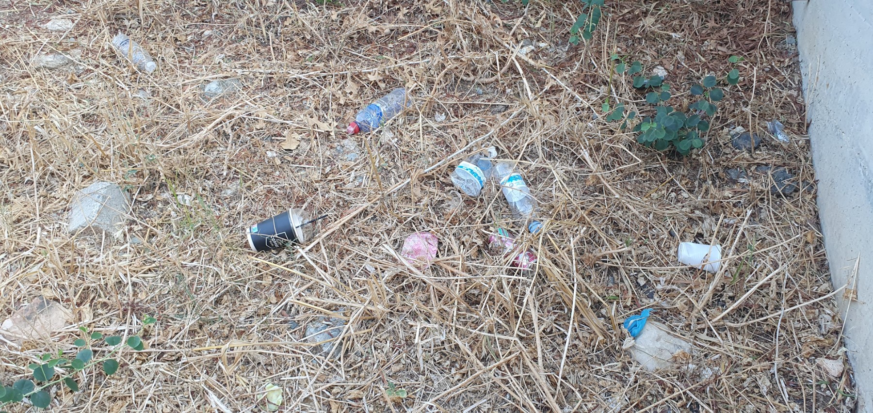 Random rubbish in the park