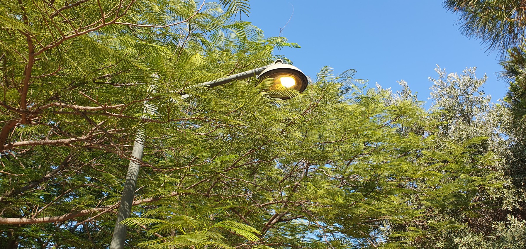 Light on during the day instead of at night - *Note:* It is common for the lights in large sections of the park to stop working for many months at a time. In addition, the timing of the lights across the sections of the park is not synchronized, and in some cases the lights even turn on during the day. *A permanent fix is needed*