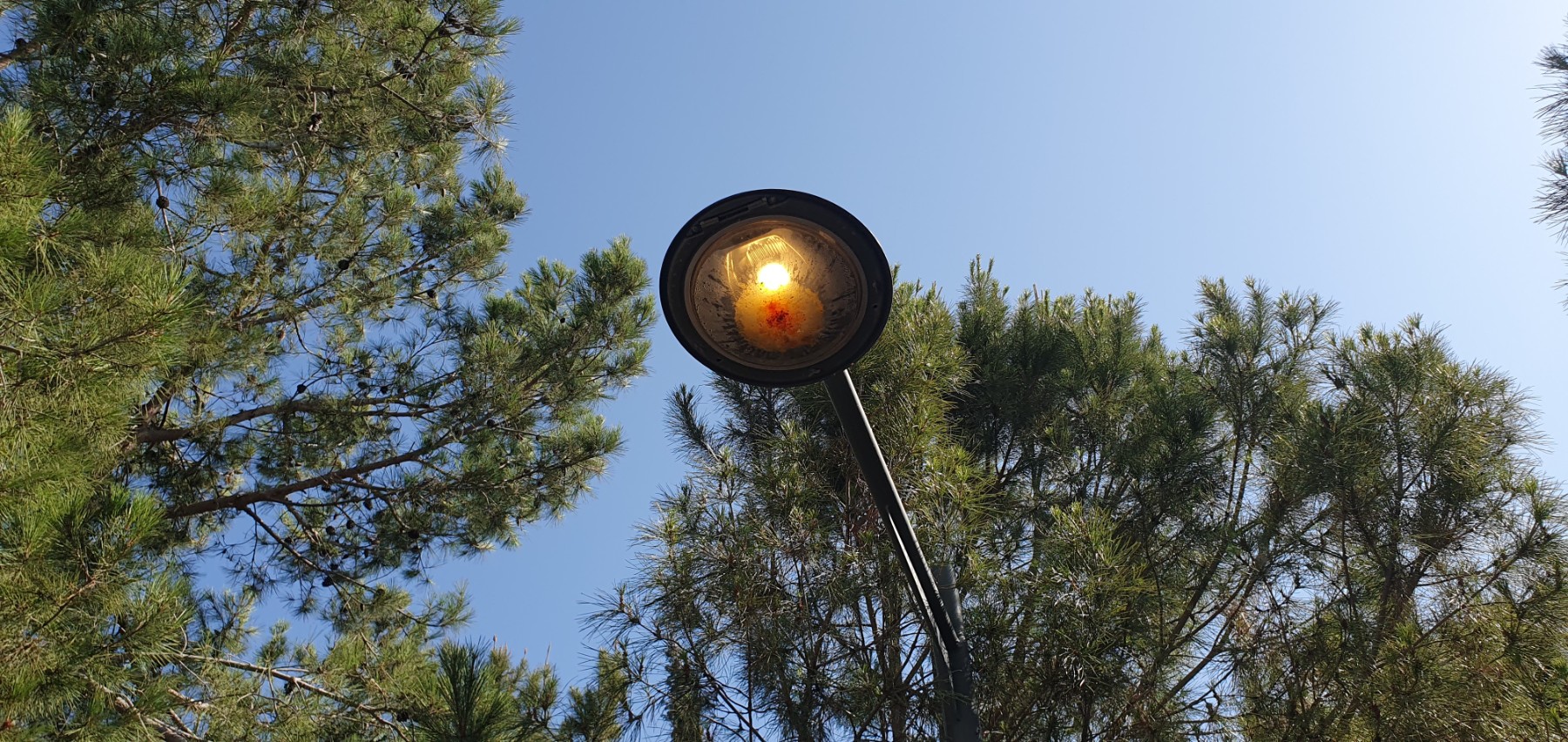 *Note:* It is common for the lights in large sections of the park to stop working for many months at a time. In addition, the timing of the lights across the sections of the park is not synchronized, and in some cases the lights even turn on during the day. *A permanent fix is needed*