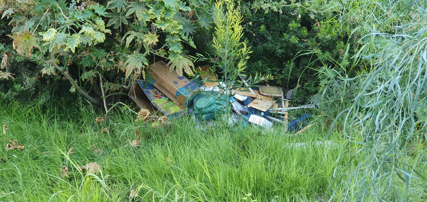 Rubbish in the river