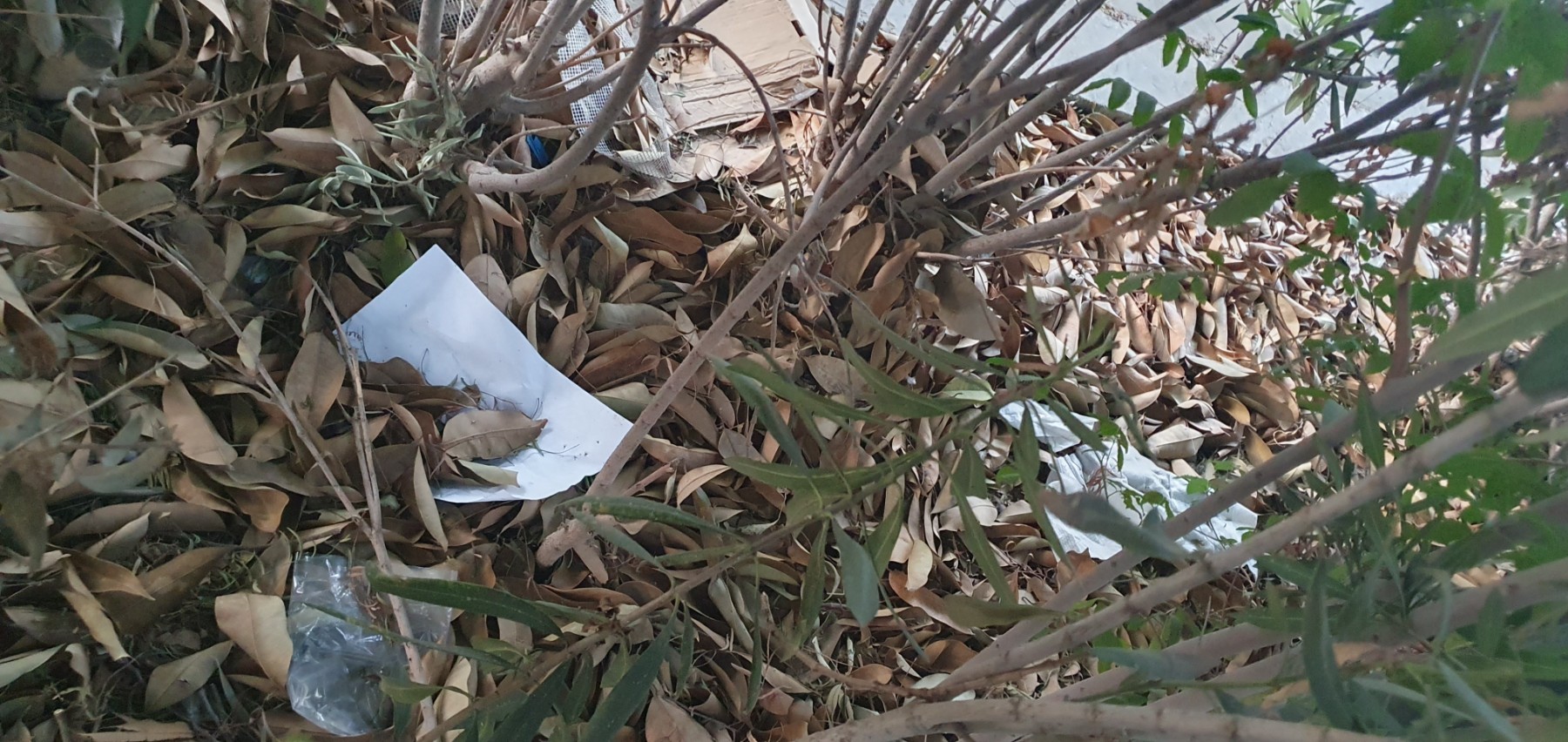 parkrubbish