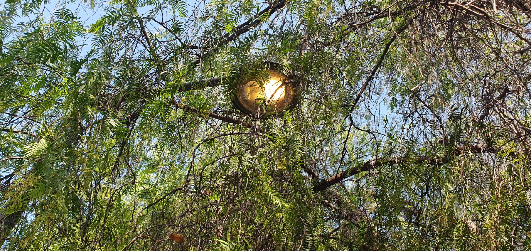 Light on during the day instead of at night - *Note:* It is common for the lights in large sections of the park to stop working for many months at a time. In addition, the timing of the lights across the sections of the park is not synchronized, and in some cases the lights even turn on during the day. *A permanent fix is needed*