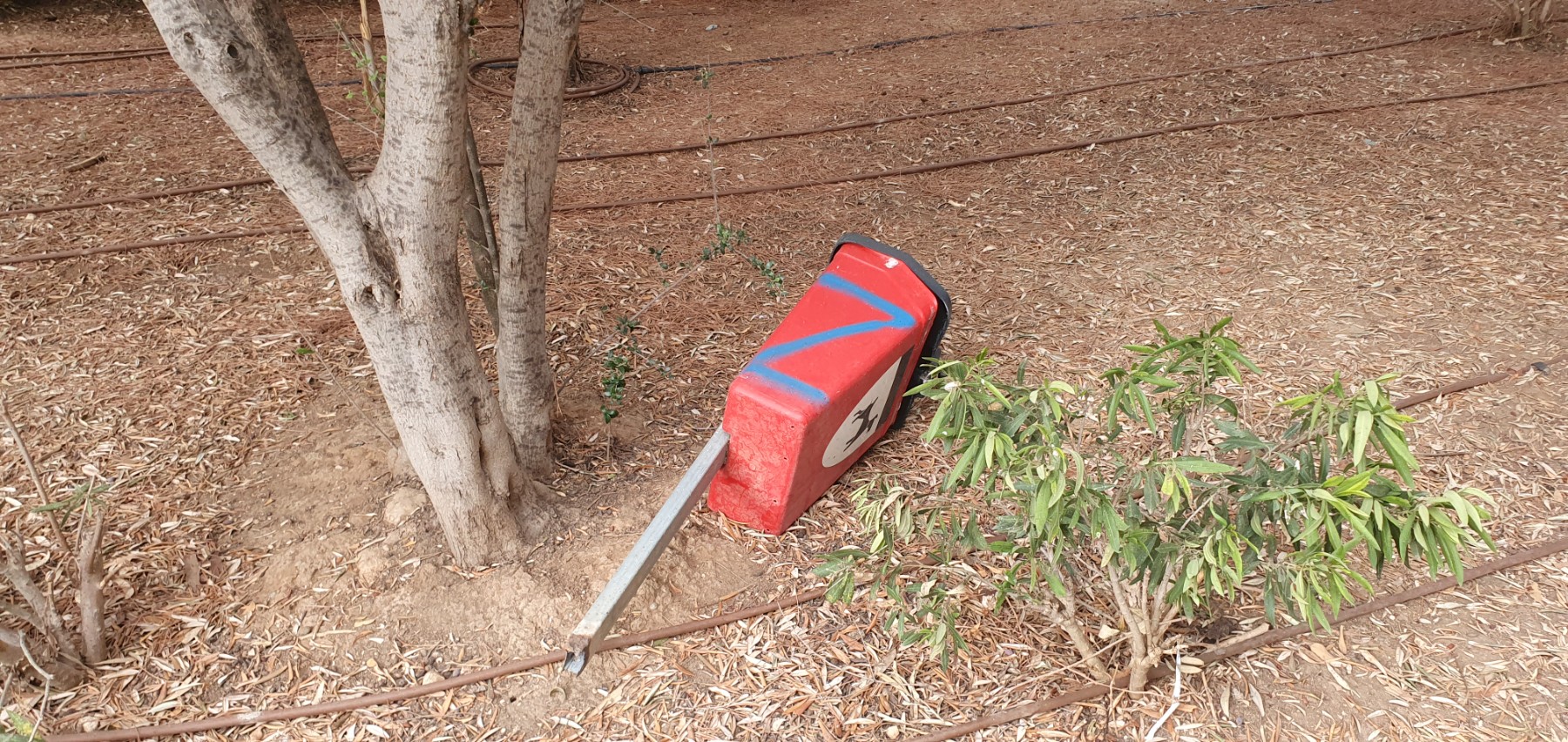 Broken dog waste bin