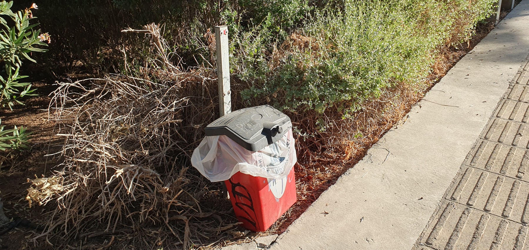 Broken dog waste bin